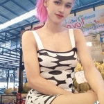 เตย